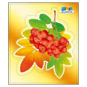 Основное изображение