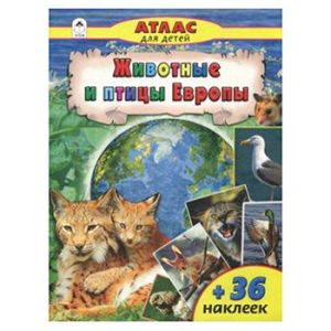 Основное изображение