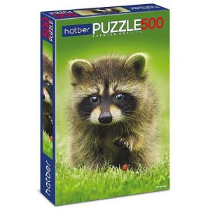 Основное изображение