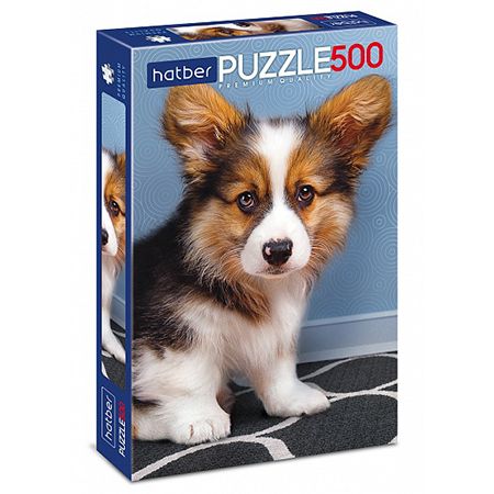 250953
