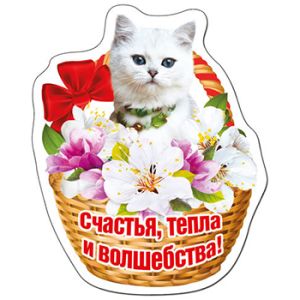 Основное изображение