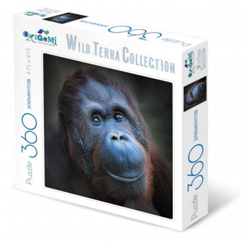 Основное изображение