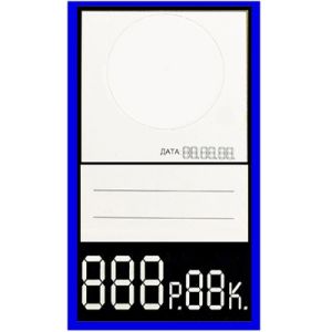 24068