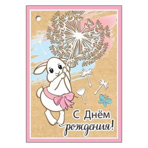 295068