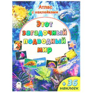 Основное изображение