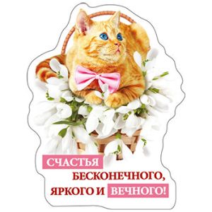 Основное изображение