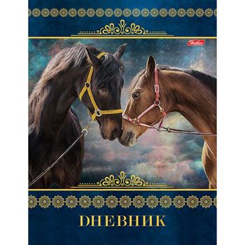 Основное изображение