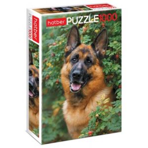222465