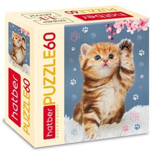 Основное изображение