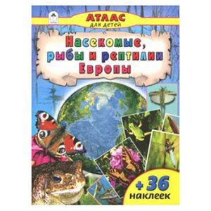 Основное изображение