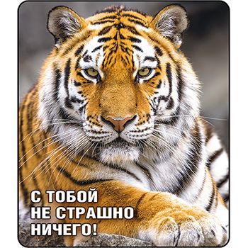 Основное изображение