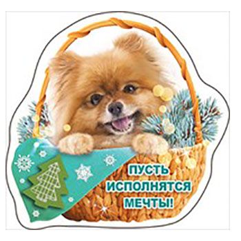 Основное изображение