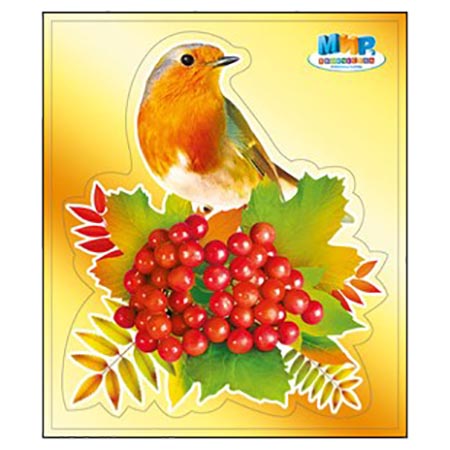 Основное изображение