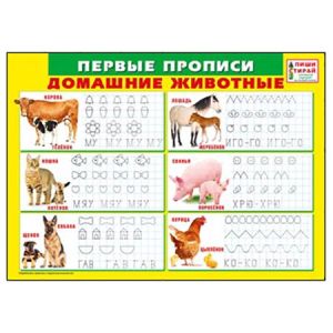 Основное изображение
