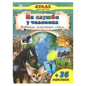 Основное изображение