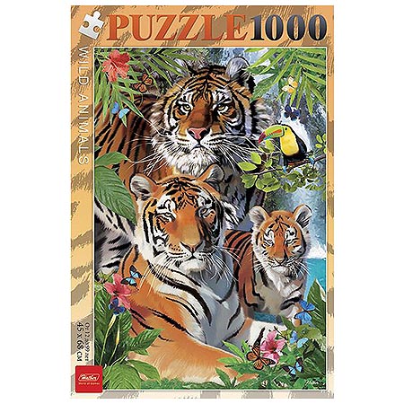 Основное изображение