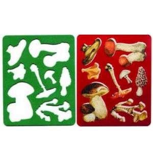 Основное изображение