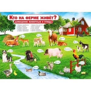 Основное изображение