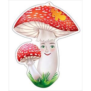 Основное изображение
