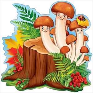 Основное изображение