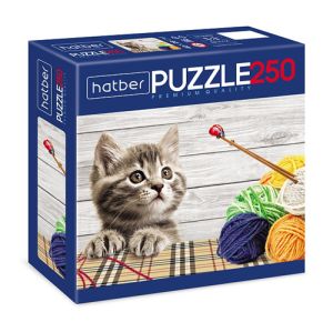 295895