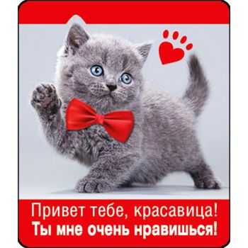 Основное изображение