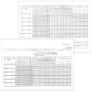 Основное изображение