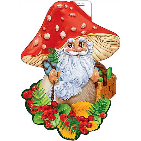 Основное изображение