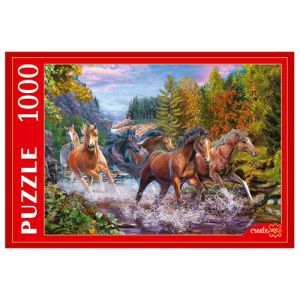 263681