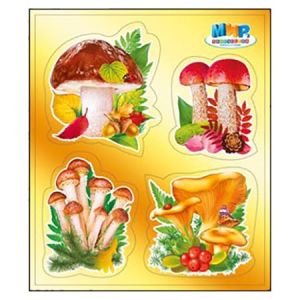 Основное изображение