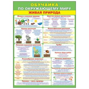 Основное изображение