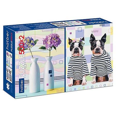 Основное изображение