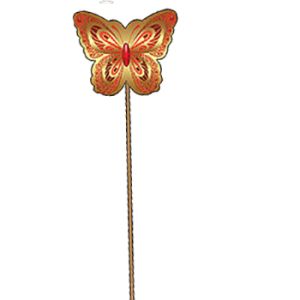 Основное изображение