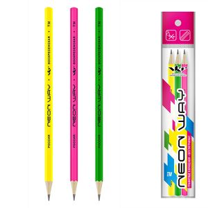 343024