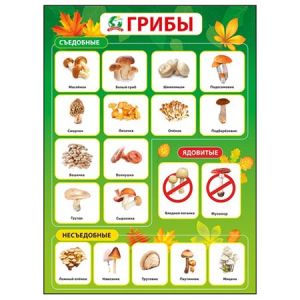 Основное изображение