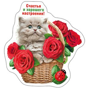 Основное изображение