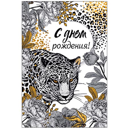 Основное изображение