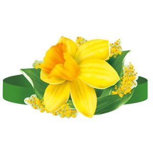 Основное изображение