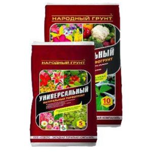 Основное изображение