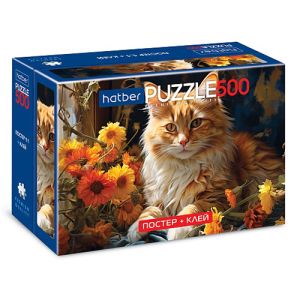 281255