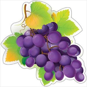 Основное изображение