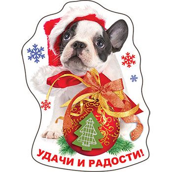 Основное изображение