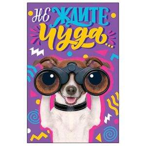 Основное изображение