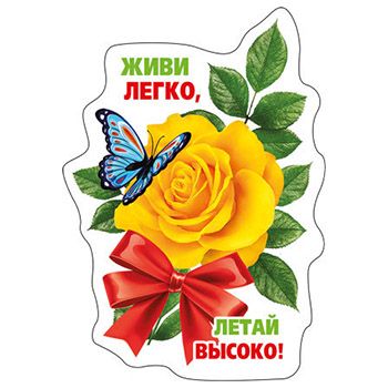 Основное изображение