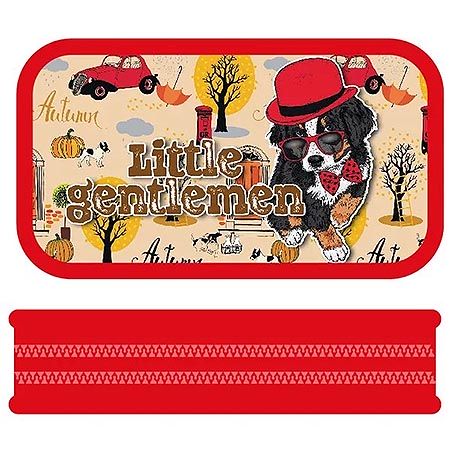 Основное изображение