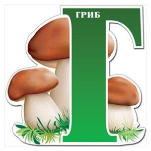 Основное изображение