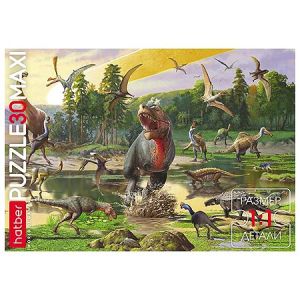 Основное изображение