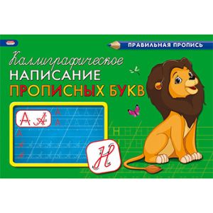 Основное изображение
