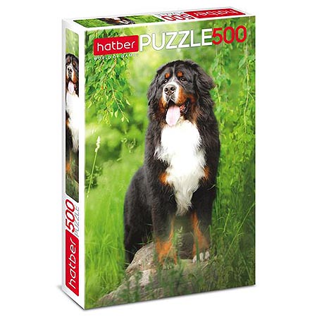 Основное изображение