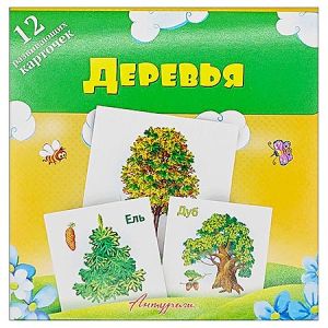 Основное изображение
